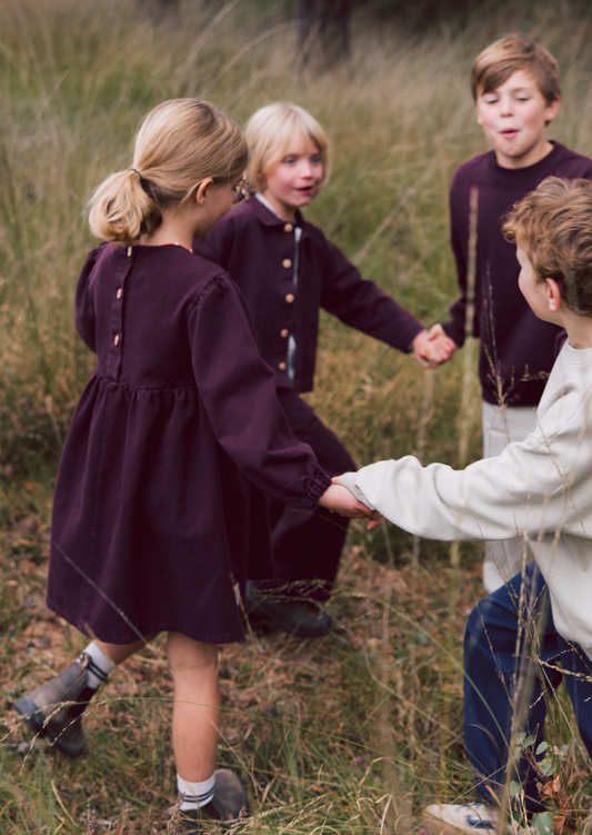 Denim Dress Berry