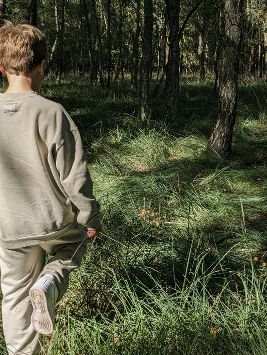 Sweatshirt Stone